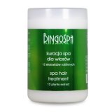 BingoSpa 12 extracts Hair Treatment 1000g